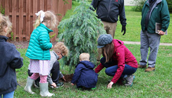 children planting a tree