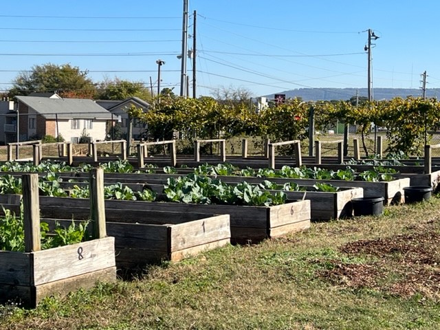 CASA Garden