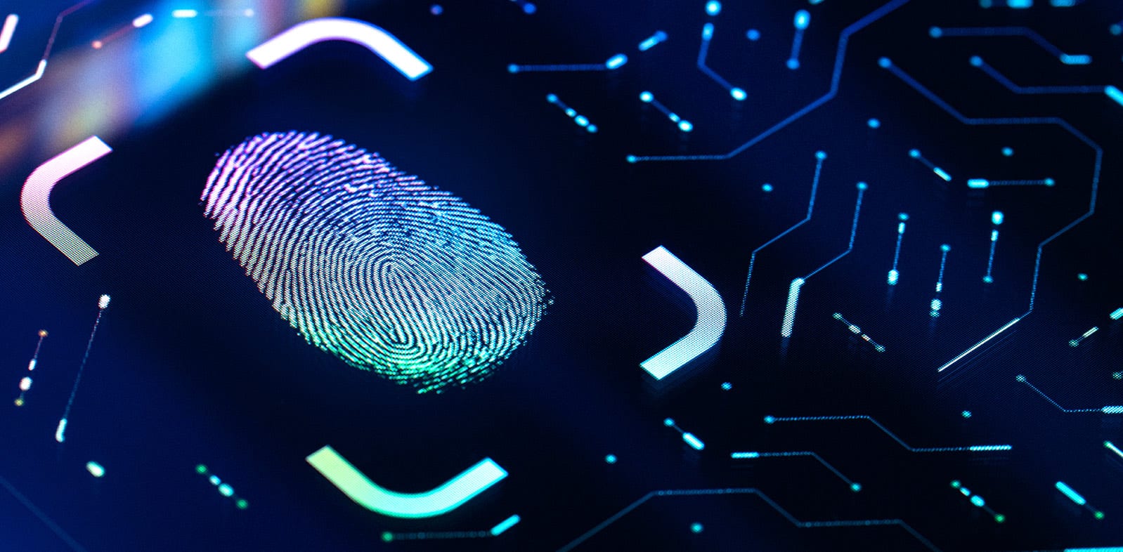 fingerprint