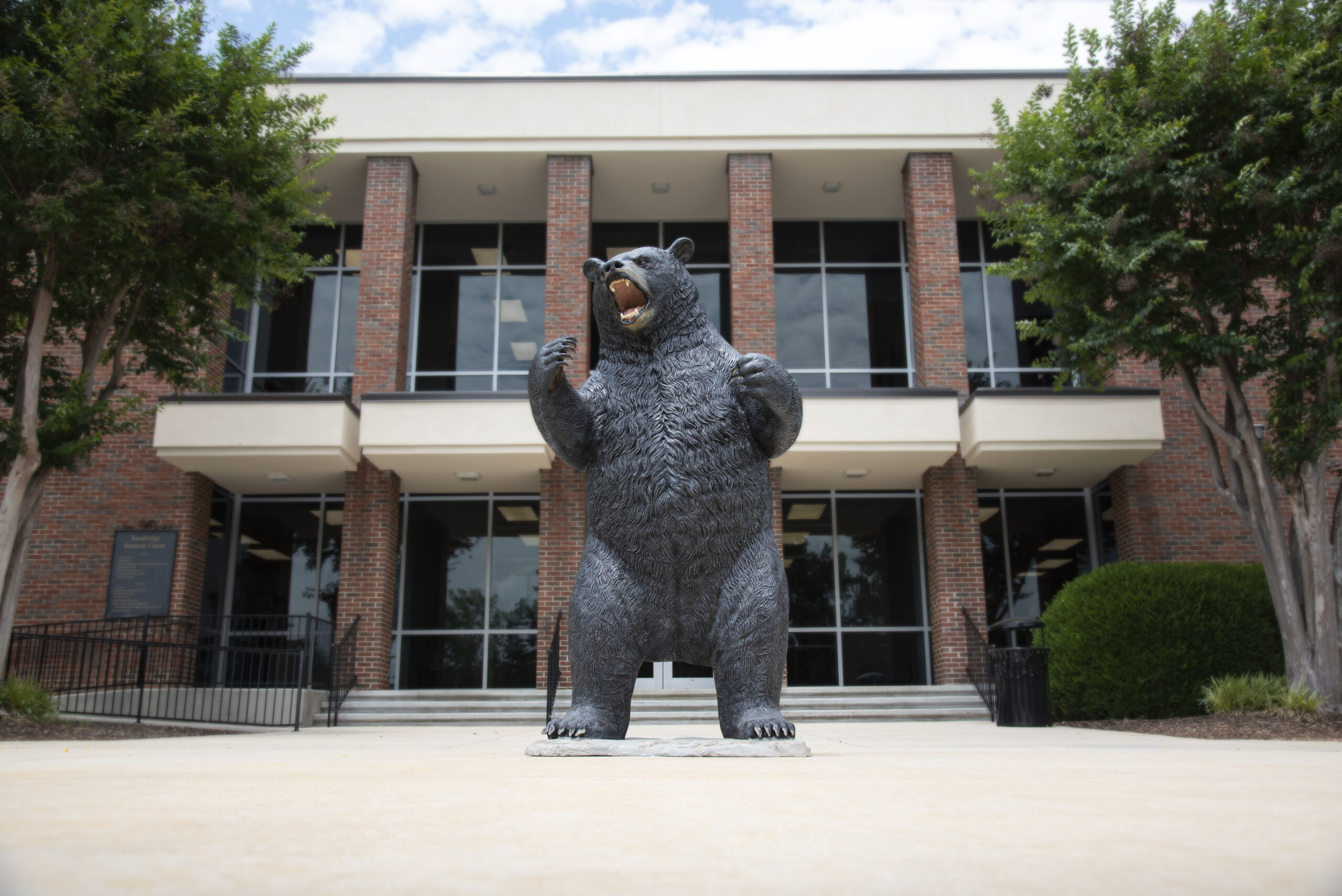 Hebrew the Bear Mascot Statue