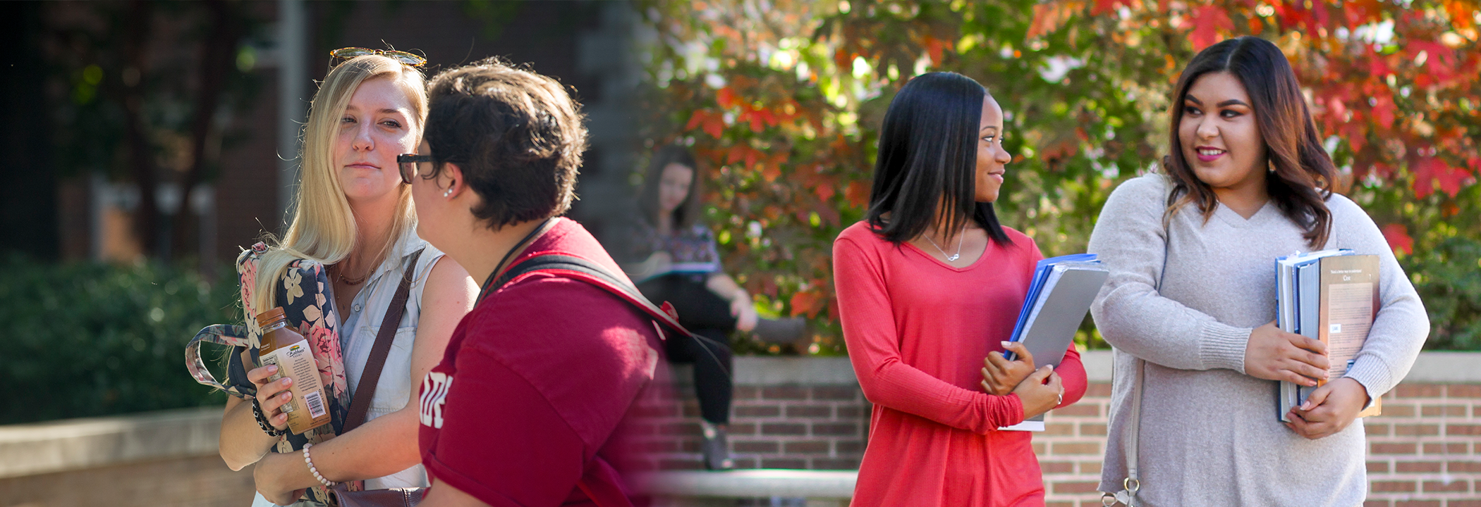 Humanities and Social Sciences
