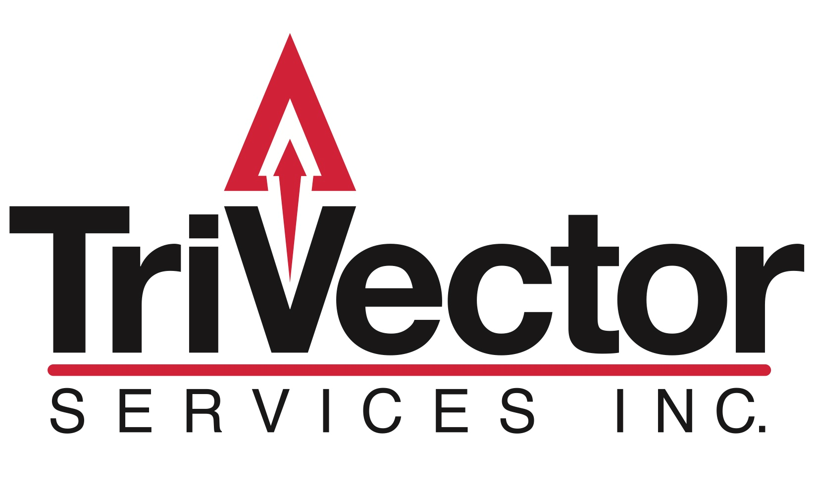 TriVector Logo