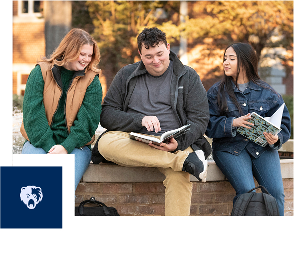 Career Outcomes banner