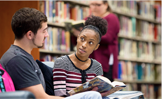 Individualized Degree Program image small